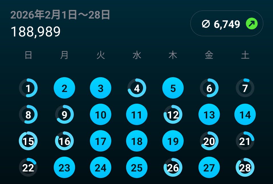 2月の歩数カレンダー（平均6,749歩/日）